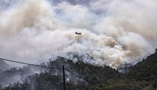 Πόσα δάση θα καούν ακόμη μέχρι να πάψουν οι καταστροφικές πυρκαγιές να αντιμετωπίζονται ως «ατυχία»;
